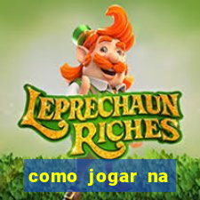 como jogar na lotinha do jogo do bicho